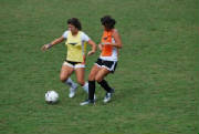 dsc_1226-2.jpg