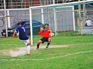 f6-06-176.jpg